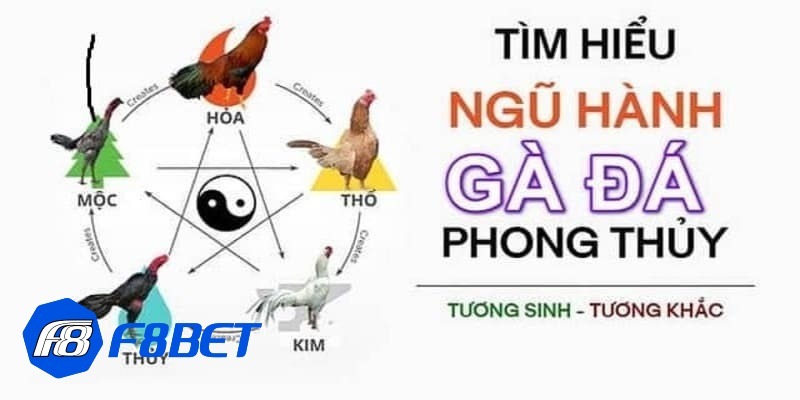 màu mạng đá gà màu mạng đá gà