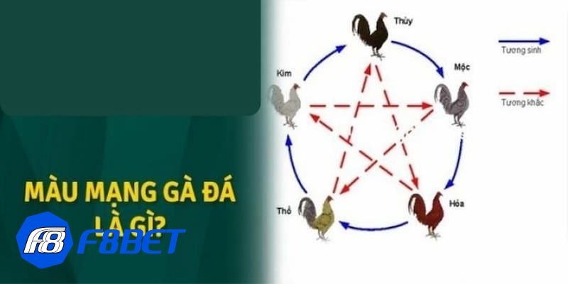 màu mạng đá gà màu mạng đá gà