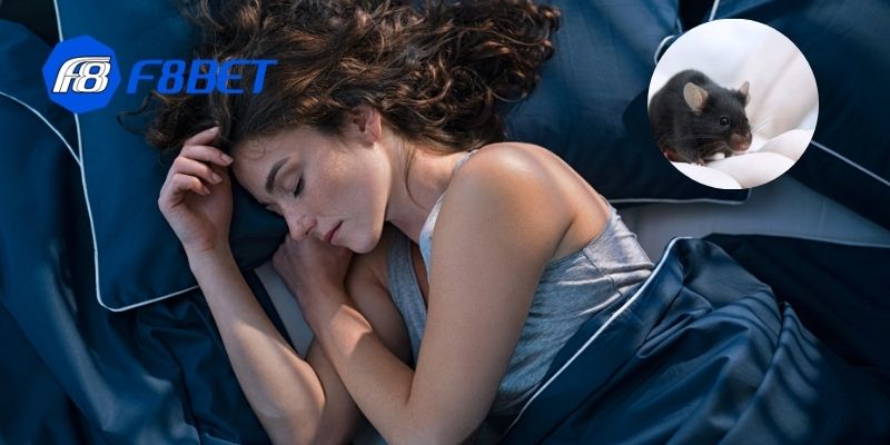 Cách xử lý tình huống khi nằm mơ thấy chuột