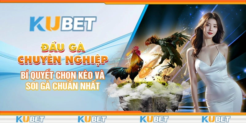 Đấu gà chuyên nghiệp