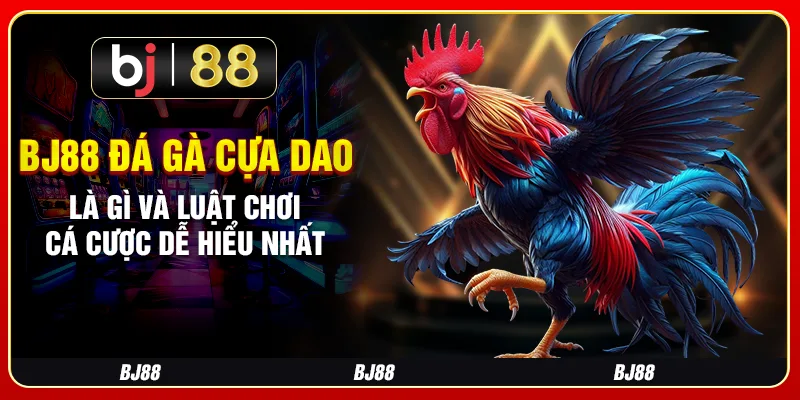 Bj88 Đá Gà Cựa Dao Là Gì Và Luật Chơi Cá Cược Dễ Hiểu Nhất