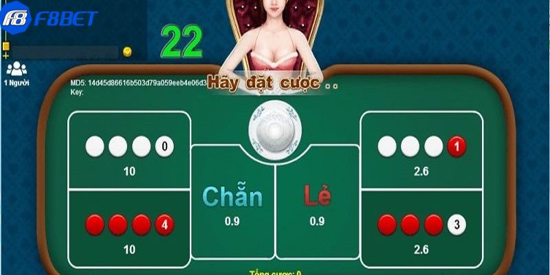 thuật toán xóc đĩa