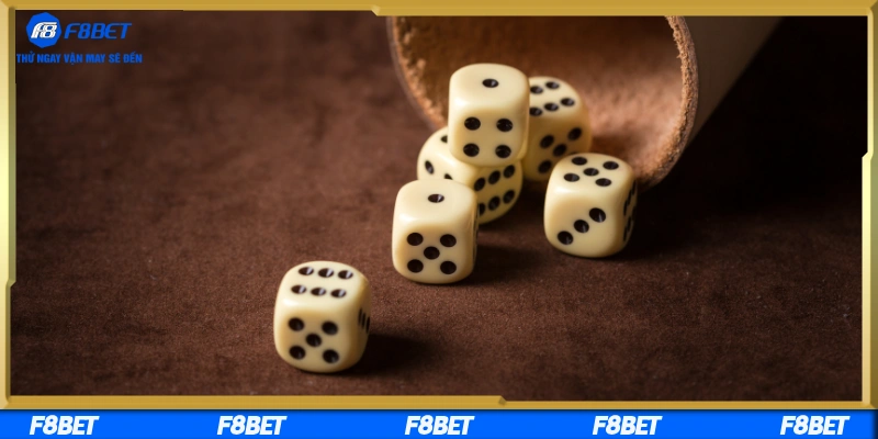 Hướng dẫn áp dụng vào thực tế