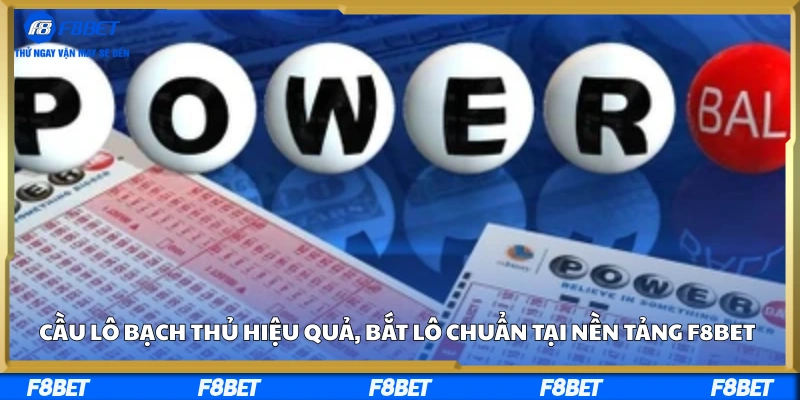 Cầu Lô Bạch Thủ Hiệu Quả, Bắt Lô Chuẩn Tại Nền Tảng F8BET