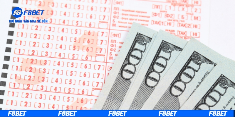 Cách nuôi dàn đề hiệu quả từ nền tảng