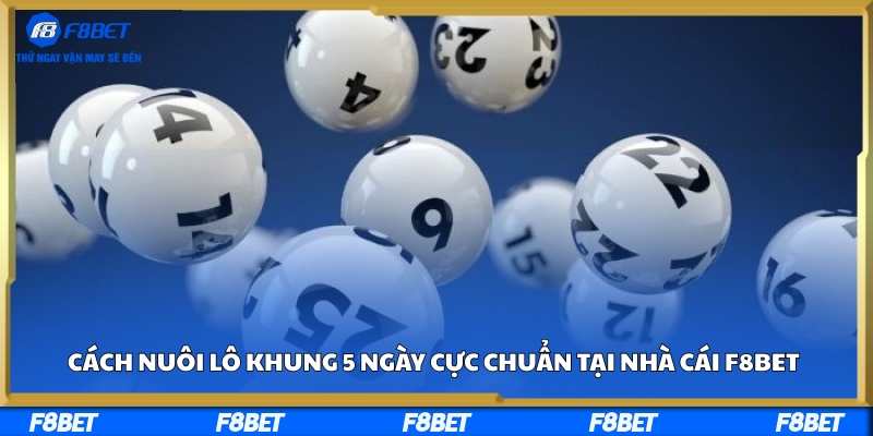 Cách Nuôi Lô Khung 5 Ngày Cực Chuẩn Tại Nhà Cái F8BET