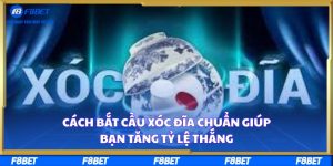 Cách Bắt Cầu Xóc Đĩa Chuẩn Giúp Bạn Tăng Tỷ Lệ Thắng