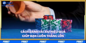 Cách Đánh Tài Xỉu Hiệu Quả Giúp Bạn Luôn Thắng Lớn