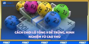 Cách Chơi Lô Tổng 9 Dễ Trúng, Kinh Nghiệm Từ Cao Thủ