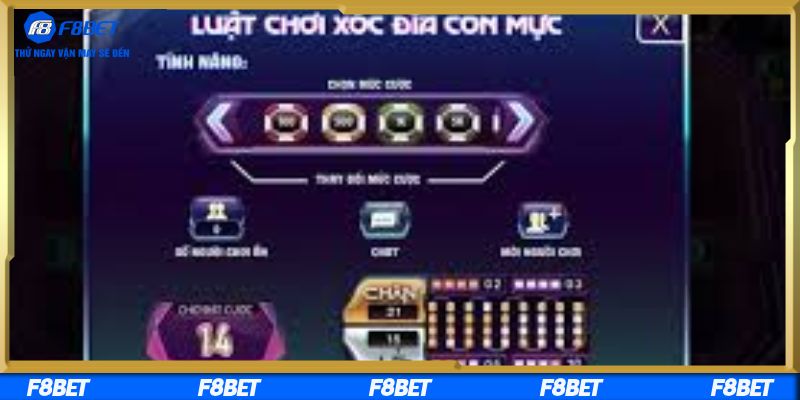 Cùng nền tảng khám phá xóc đĩa con mực